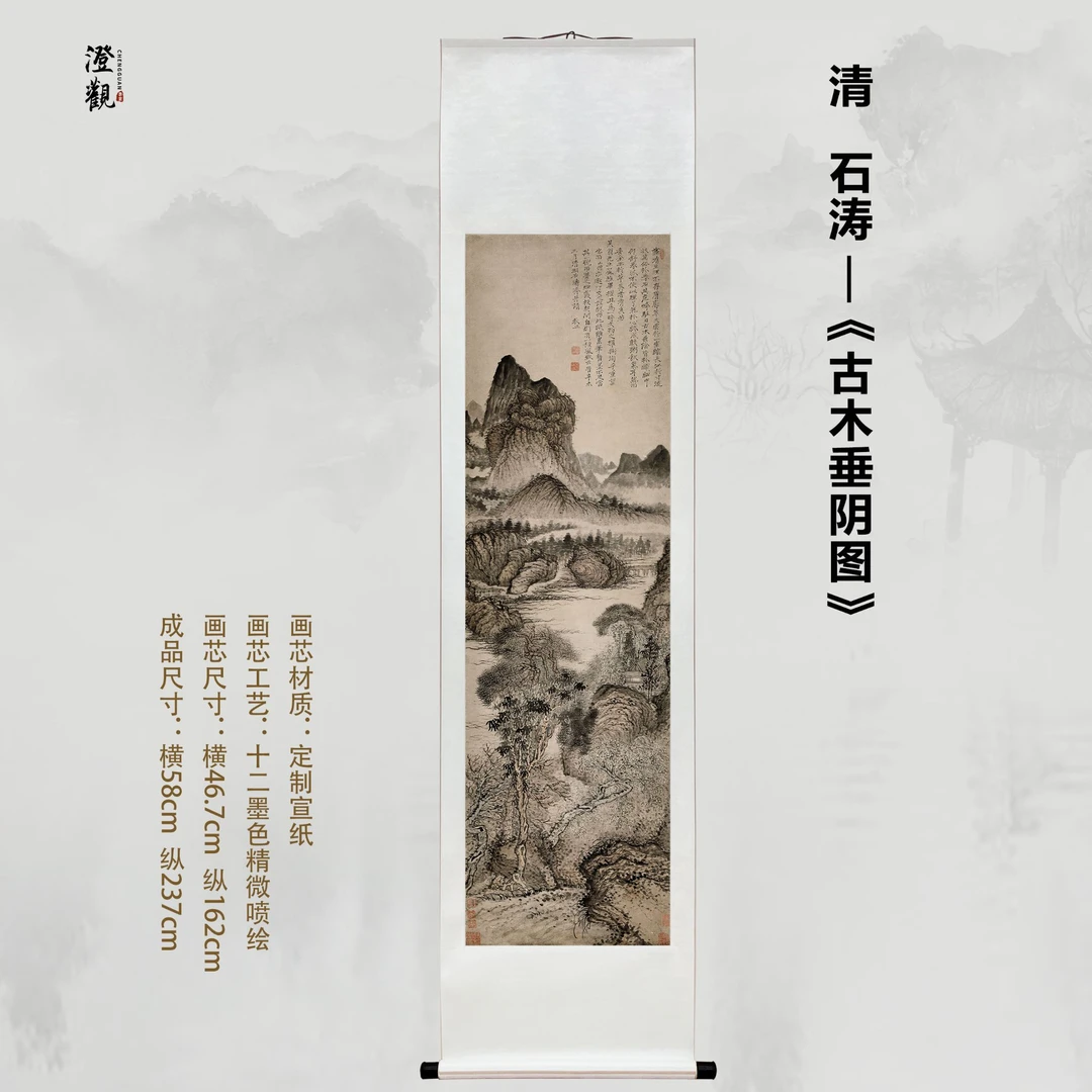 Ancient Trees Under Hanging Shade