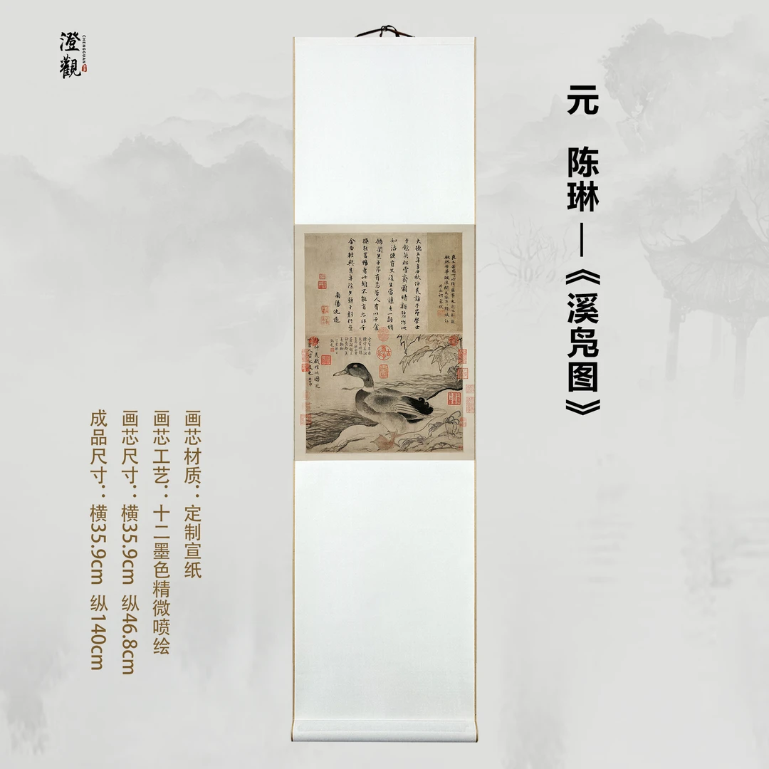 Wild Duck by a Mountain Stream