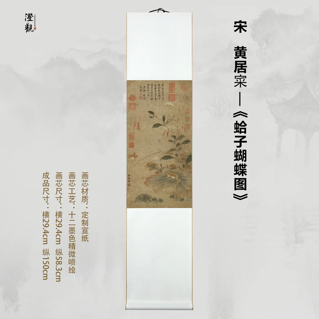 Clam and Butterflies