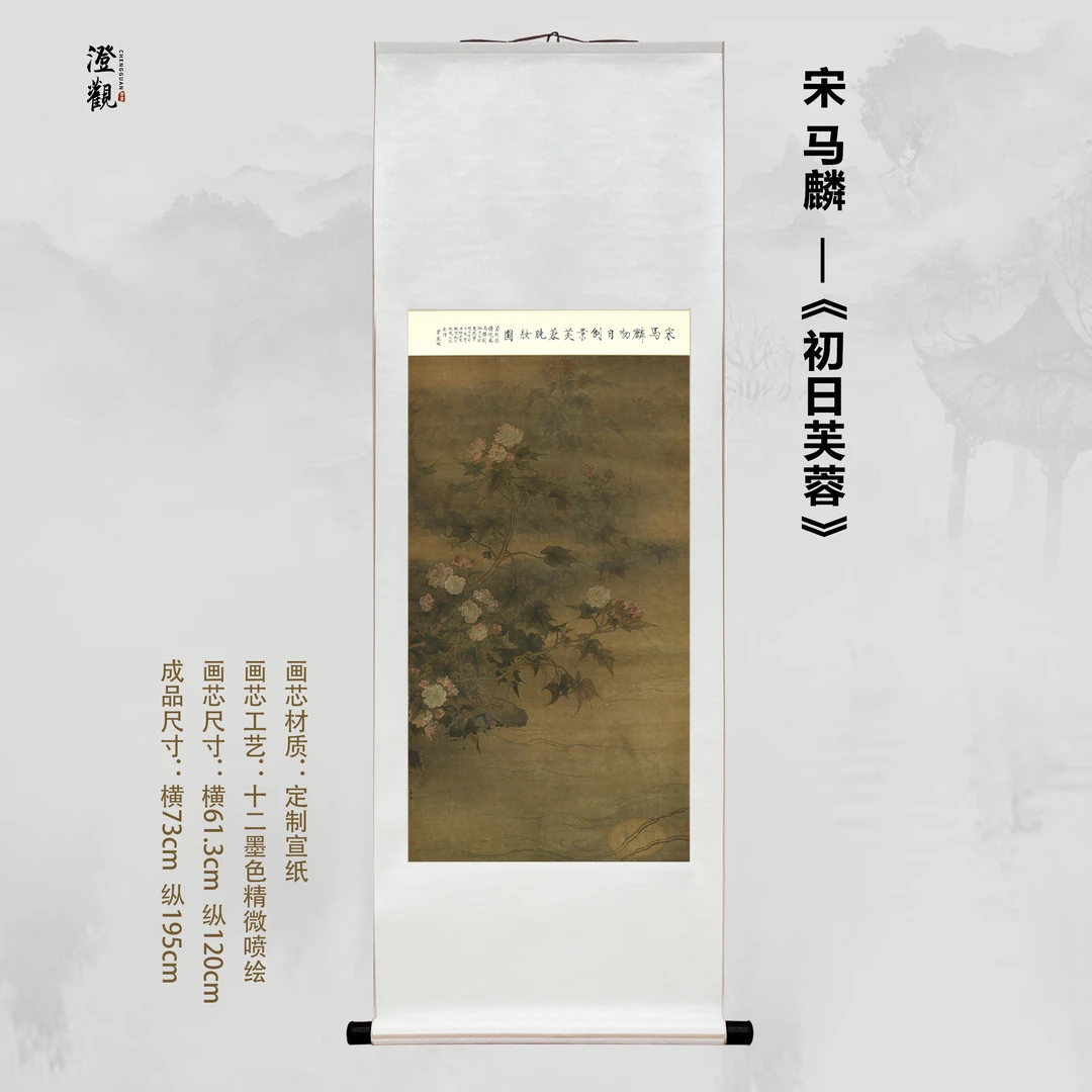 Hibiscus in the Early Sun